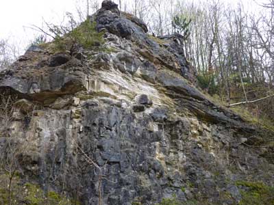 P1090092.jpg